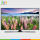 تلویزیون ال ای دی سامسونگ 43 اینچ مدل 43K5880 SAMSUNG LED TV 43K5880 43 INCH FULL HD