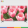 تلویزیون ال ای دی ال جی 49 اینچ مدل 49LF55000GI LG 47LW4500 LED TV 47 Inch