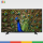 تلویزیون ال ای دی اسمارت ال جی 49 اینچ مدل 49UF64000GI LG LED TV 49UF64000GI 49 INCH SMART UHD 4K