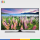 تلویزیون ال ای دی سامسونگ 50 اینچ مدل 50J5880 SAMSUNG LED TV 50J5880 50 INCH FULL HD